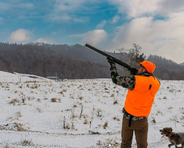 Guided Upland Bird Hunts